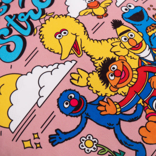 Fodera per Cuscino 47 x 47cm - Sesame Street Since 1969 03