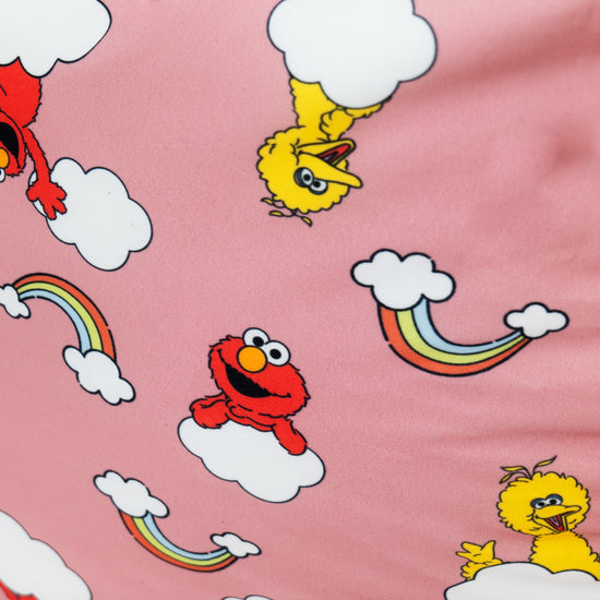 Divano a Sacco - Elmo & Big Bird 03