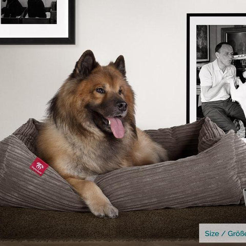 Questo adorabile letto per cani “Il Gigante” di Mighty Bark è un rifugio molto confortevole. 