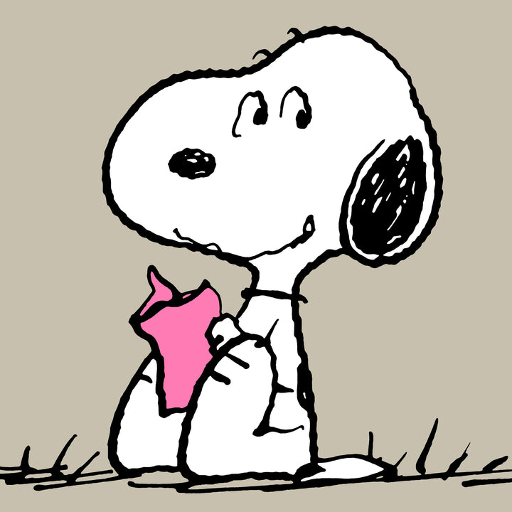 Snoopy Cuscino da Lettura con Sostegno Posteriore Alto - Lettura 03