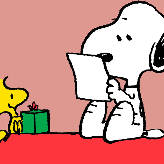 Snoopy Cuscino da Lettura con Sostegno Posteriore Alto - Snoopy & Woodstock 03