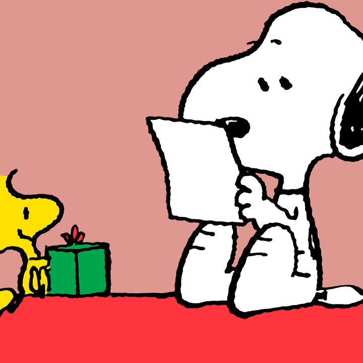 Snoopy Cuscino da Lettura con Sostegno Posteriore Alto - Snoopy & Woodstock 03