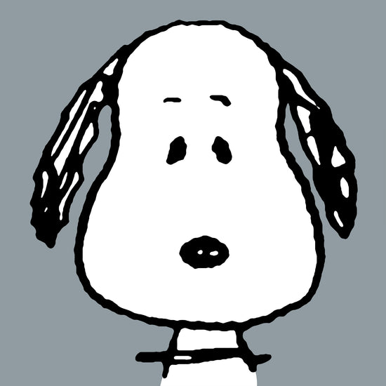 Snoopy Cuscino da Lettura per Bambini con Sostegno Posteriore Alto - Grande Snoopy 03