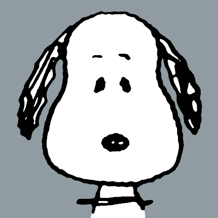 Snoopy Cuscino da Lettura per Bambini con Sostegno Posteriore Alto - Grande Snoopy 03