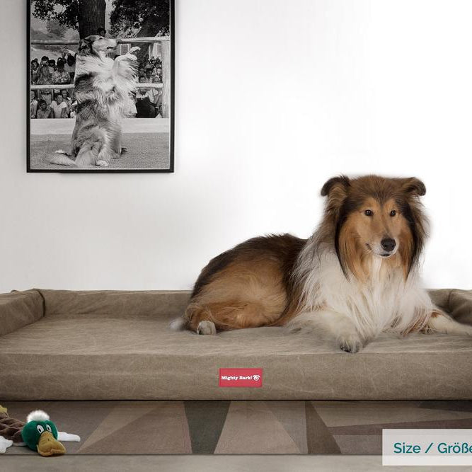 "Il Escaño Da Mighty-Bark" - Divani Per Cani, Ortopedico| Cani Divano | Cani Letto | Cuscino Per Cani | Cani Lounge - Denim Effetto Consumato Terra
