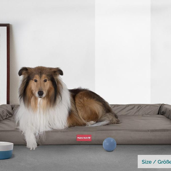 "Il Escaño Da Mighty-Bark" - Divani Per Cani, Ortopedico| Cani Divano | Cani Letto | Cuscino Per Cani | Cani Lounge - Impermeabile Grigio