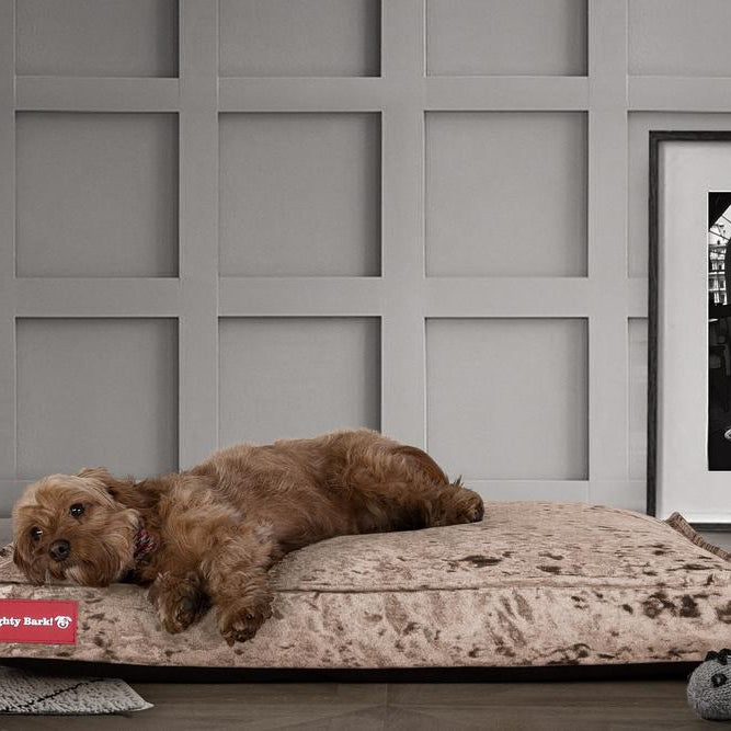 "Il Materasso Da Mighty-Bark" - Cuscino Per Cani, Ortopedico | Memory Foam, Cani Divano | Cani Letto | Cuscino Per Cani | Cani Lounge - Velluto Vintage Tartufo