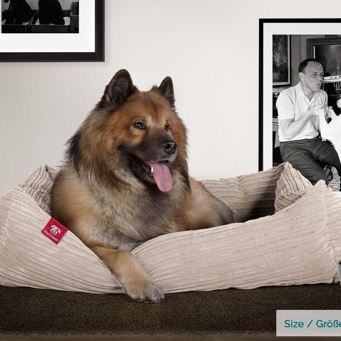 "Il Nido Da Mighty-Bark" - Letto Per Cani, Ortopedico, Memory Foam | Cani divano | Cani letto | Cuscino Per Cani | Cani Lounge - Velluto a Coste Visone
