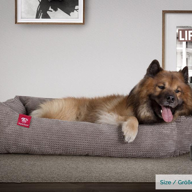 "Il Nido Da Mighty-Bark" - Letto Per Cani, Ortopedico, Memory Foam | Cani divano | Cani letto | Cuscino Per Cani | Cani Lounge - Pompon Carbone Grigio