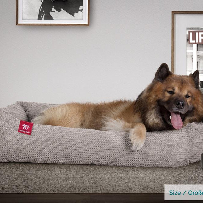 "Il Nido Da Mighty-Bark" - Letto Per Cani, Ortopedico, Memory Foam | Cani divano | Cani letto | Cuscino Per Cani | Cani Lounge - Pompon Visone