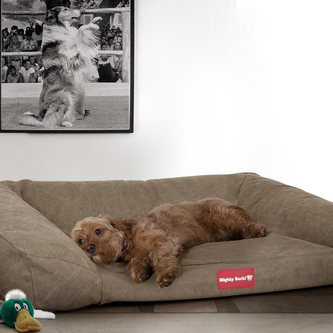 "Il Sofá Da Mighty-Bark" - Divani Per Cani, Ortopedico, Memory Foam | Cani Divano | Cani Letto | Cuscino Per Cani | Cani Lounge - Denim Effetto Consumato Terra