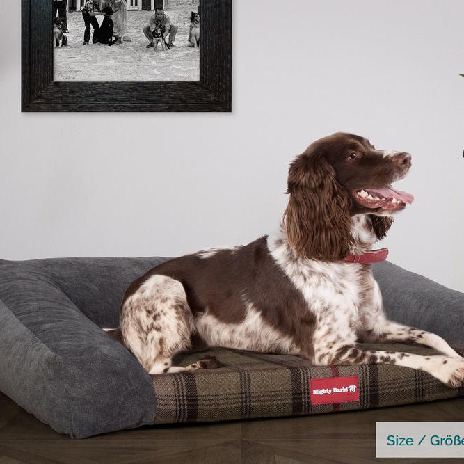 "Il Sofá Da Mighty-Bark" - Divani Per Cani, Ortopedico, Memory Foam | Cani Divano | Cani Letto | Cuscino Per Cani | Cani Lounge - Tessuto Scozzese Cacciatore