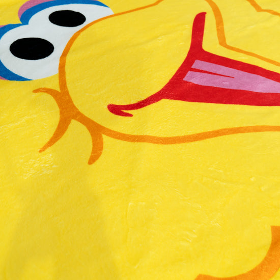 Fodera per Cuscino 47 x 47cm - Big Bird 05