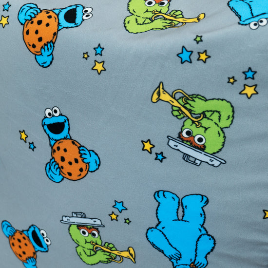 Divano a Sacco - Cookie Monster & Oscar The Grouch 03